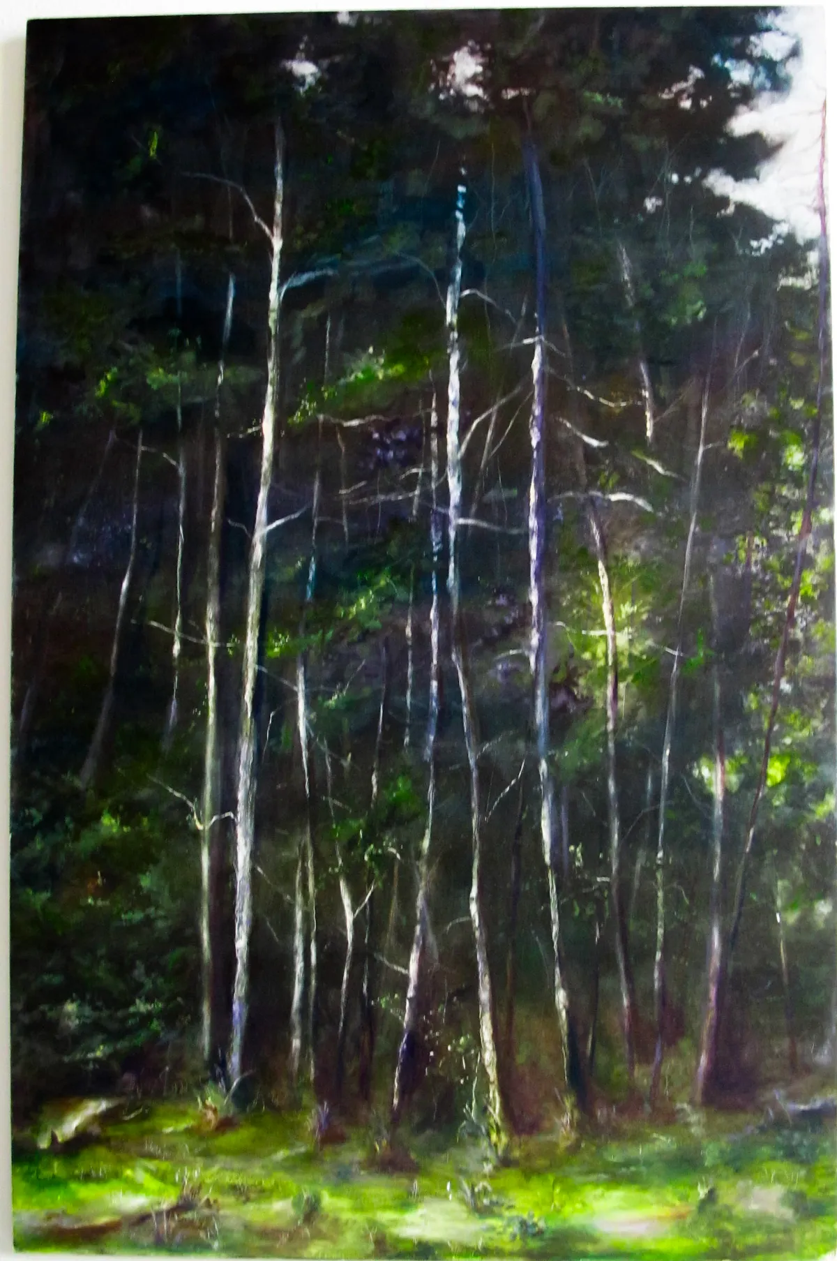 Alberi