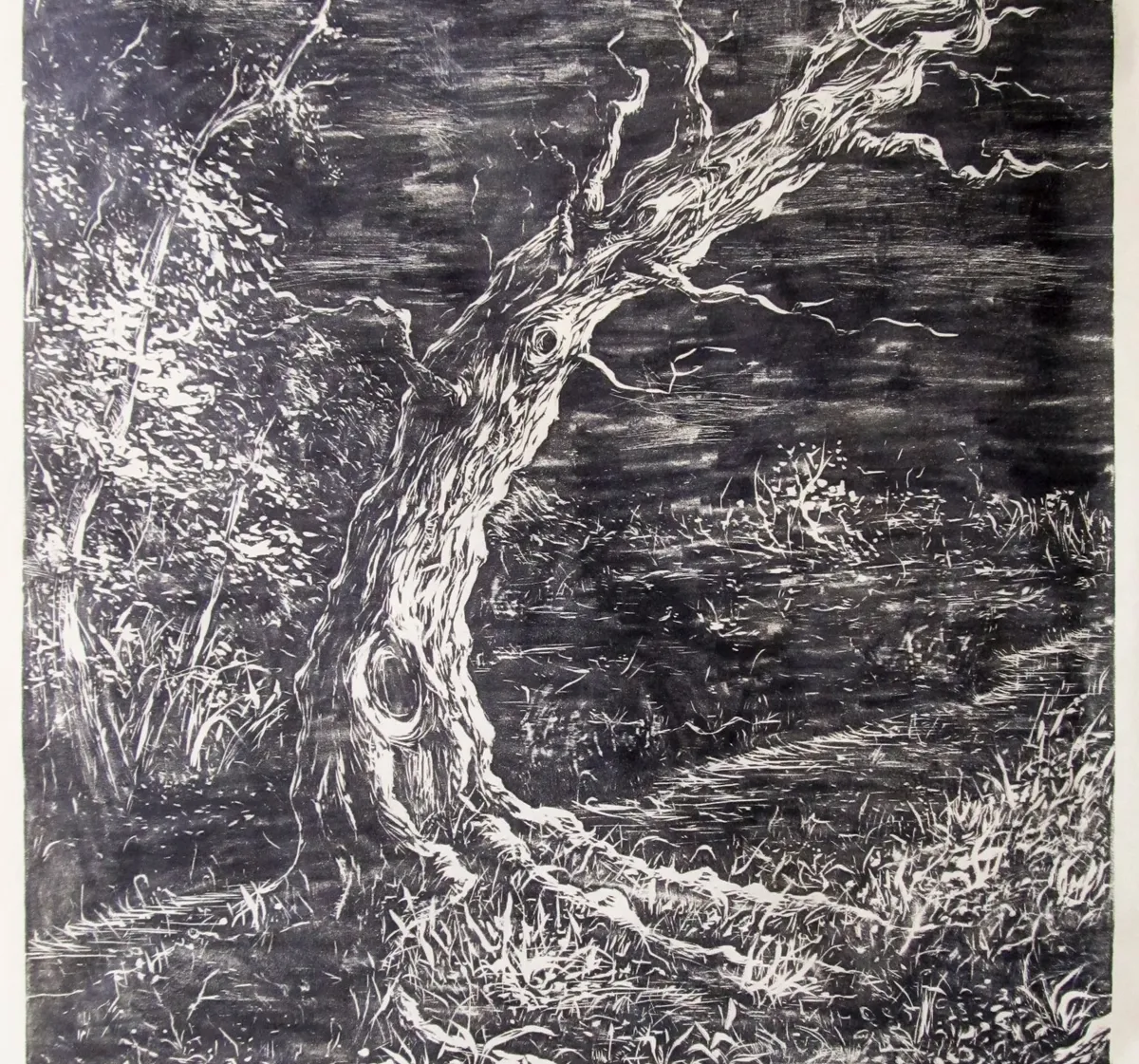 Albero