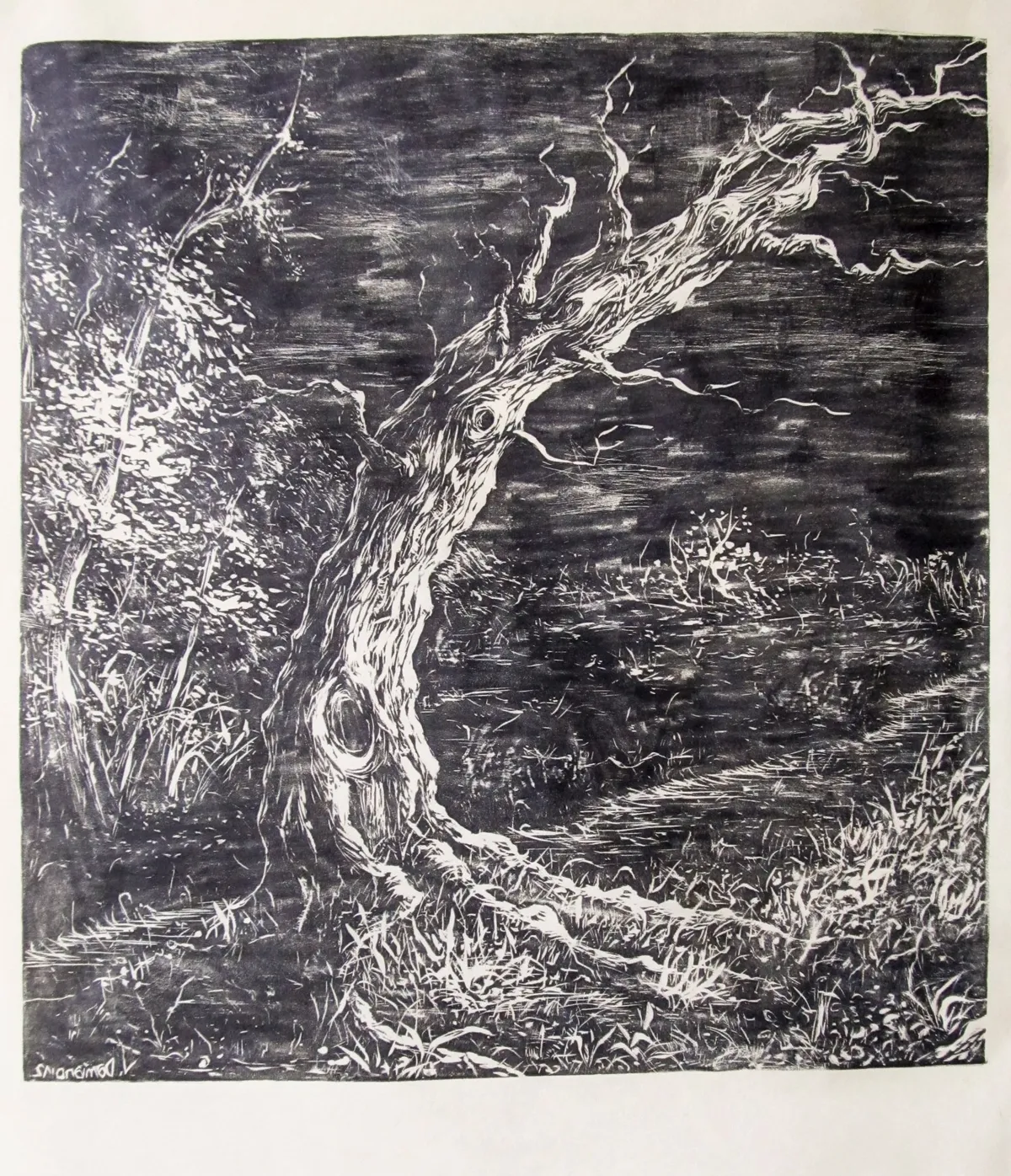 Albero