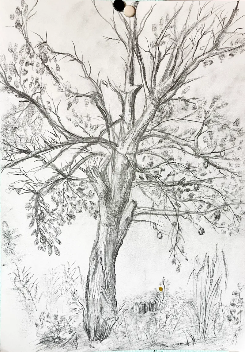 Albero a lapis