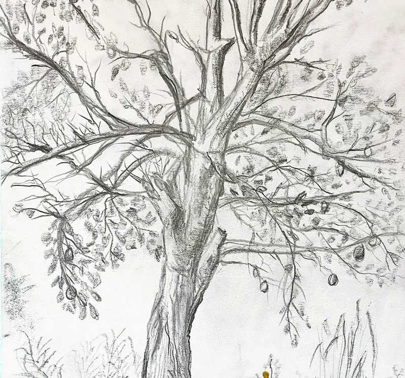 Albero a lapis