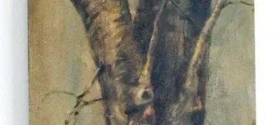 Albero
