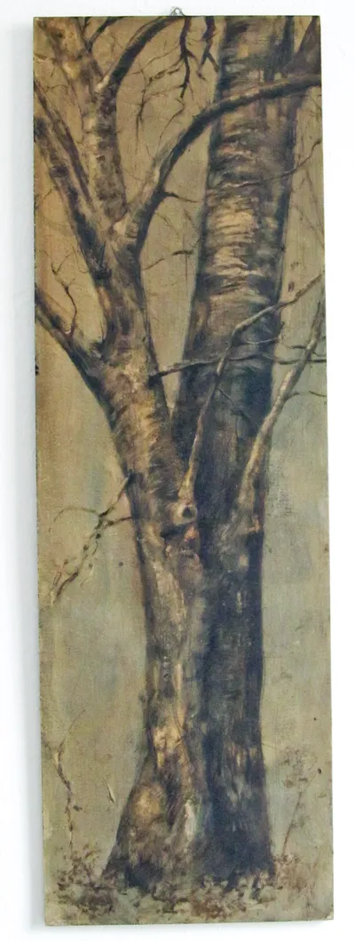 Albero