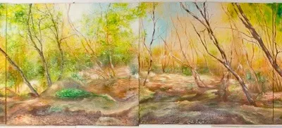 Bosco di san Rossore
