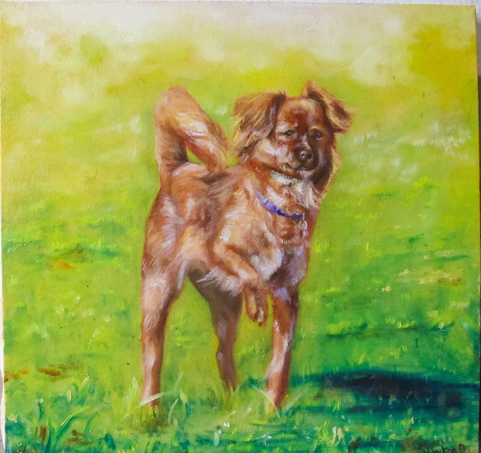 Canino