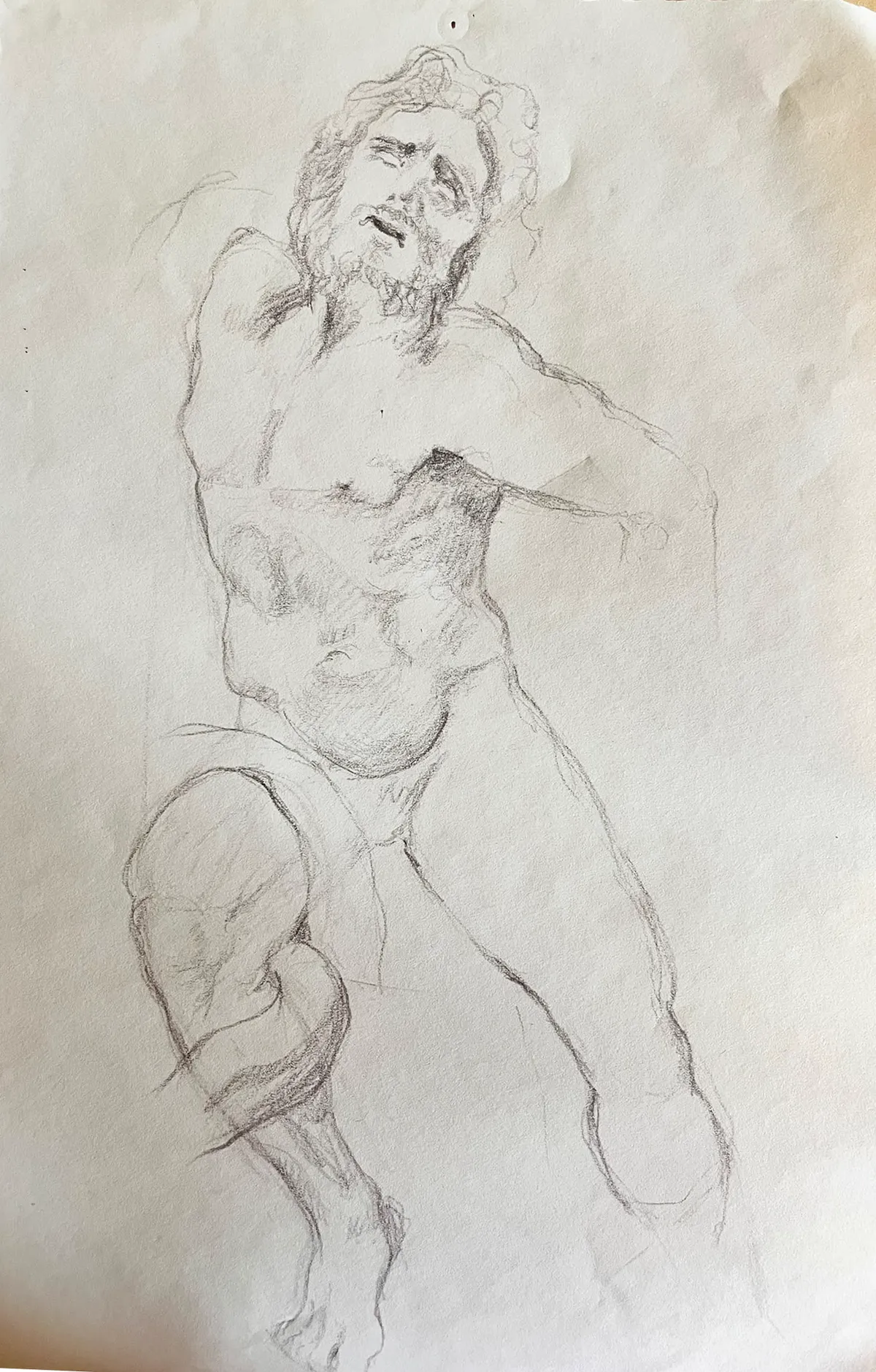 Copia dal Laocoonte