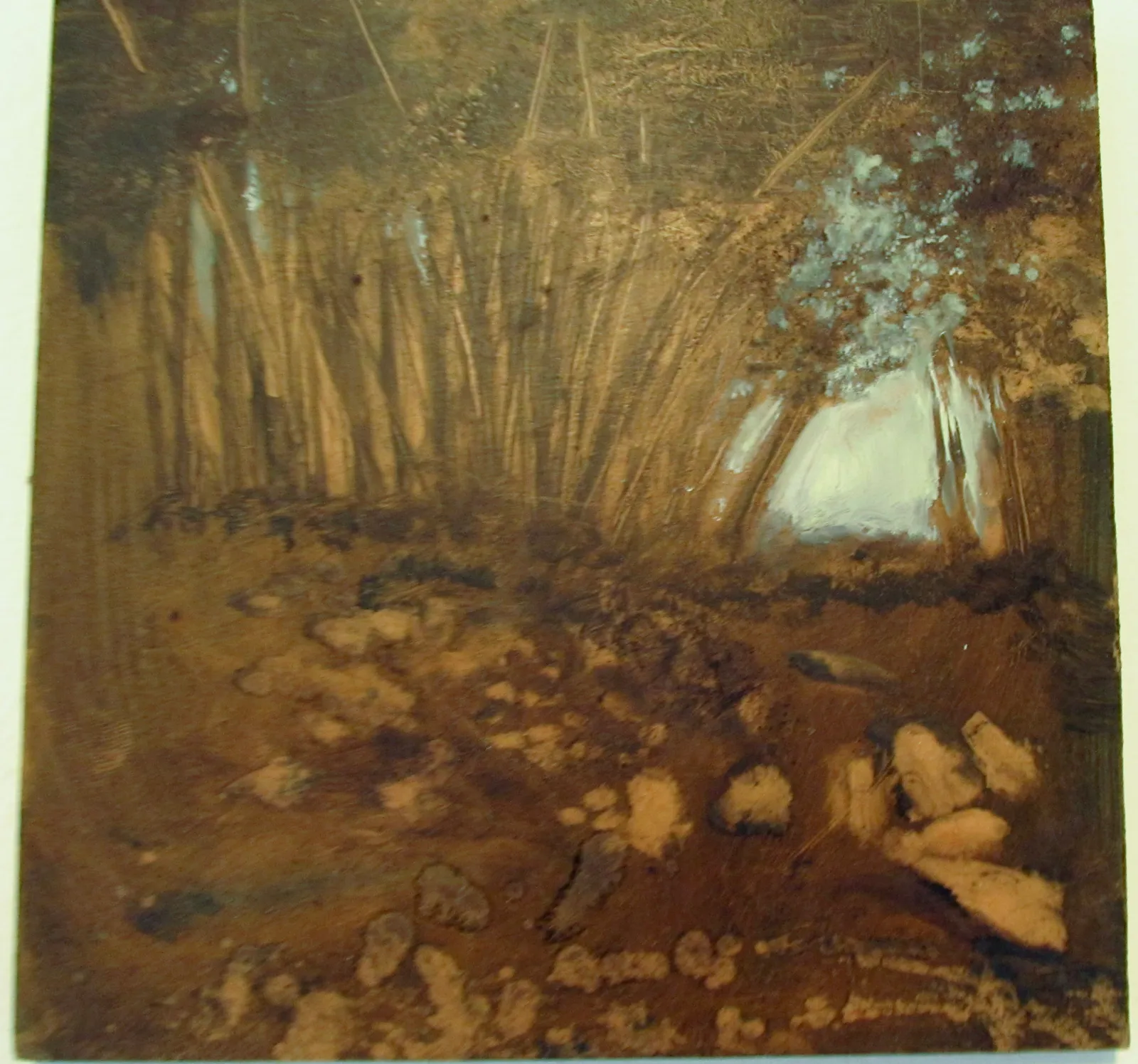 Esercizio di luci e ombre