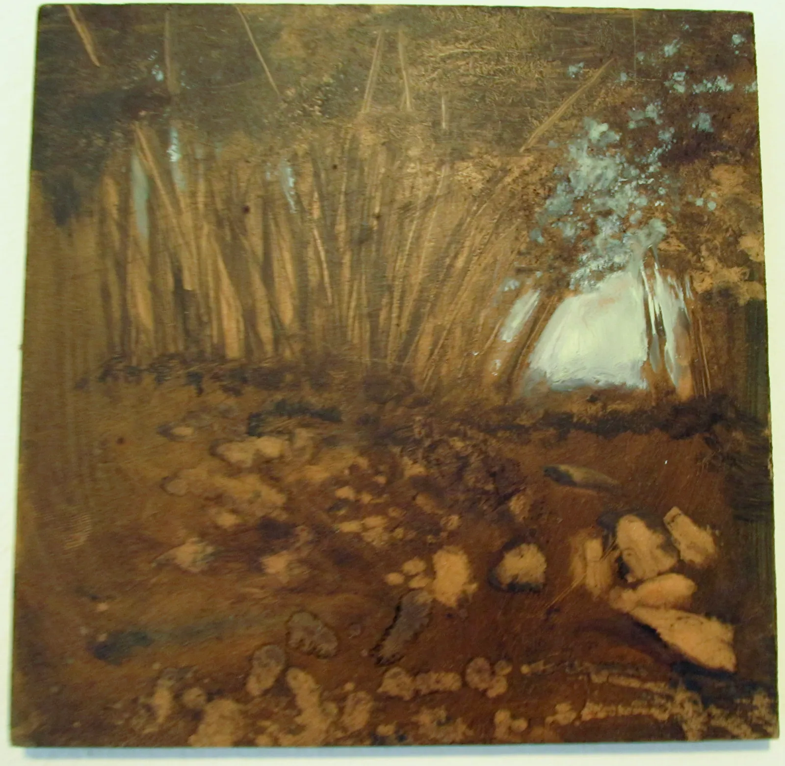 Esercizio di luci e ombre