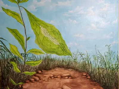 Il ciclo della vita della farfalla