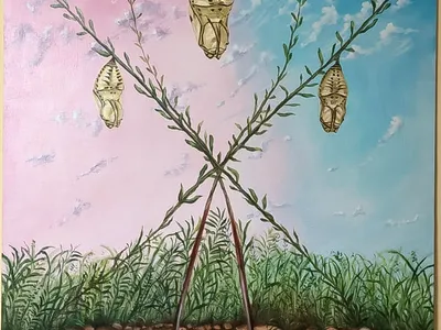 Il ciclo della vita della farfalla