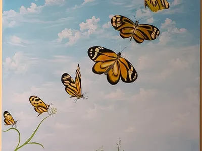 Il ciclo della vita della farfalla