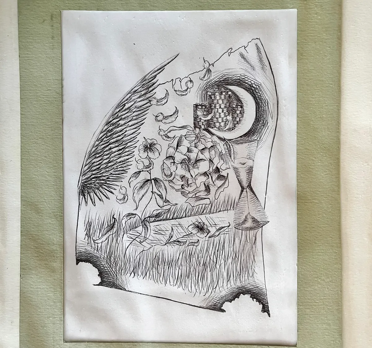 "La principessa e il bosco"