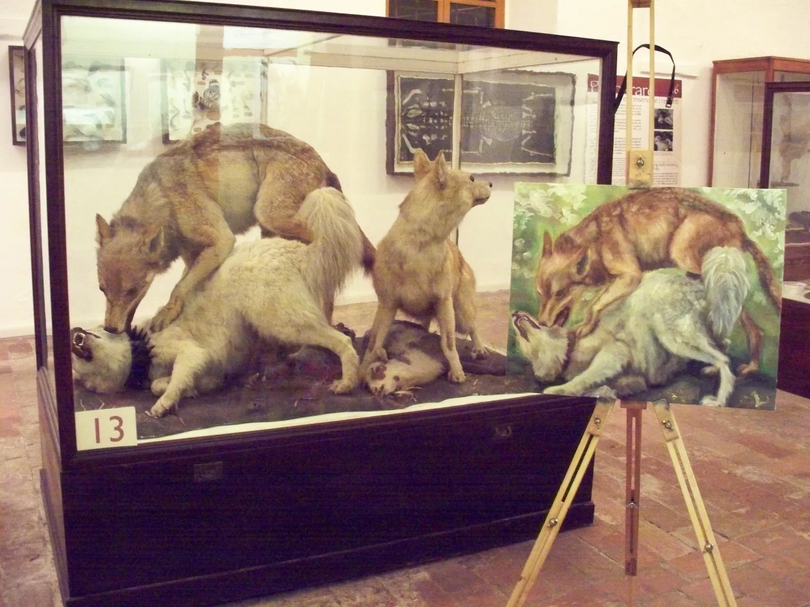 Natura morta