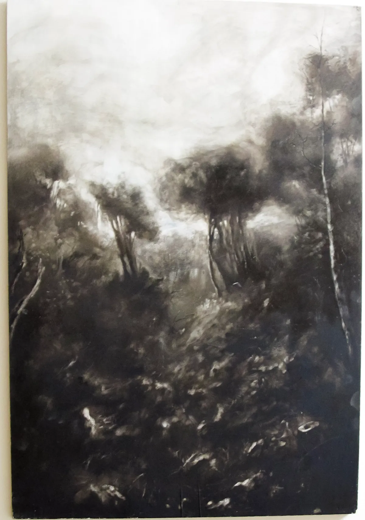 Paesaggio in bianco e nero