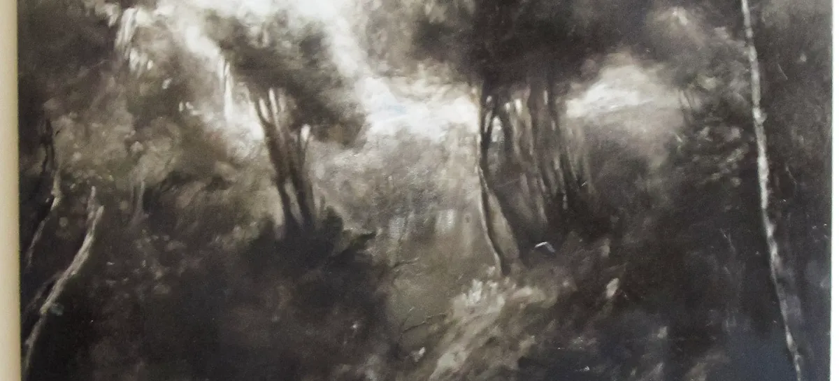 Paesaggio in bianco e nero