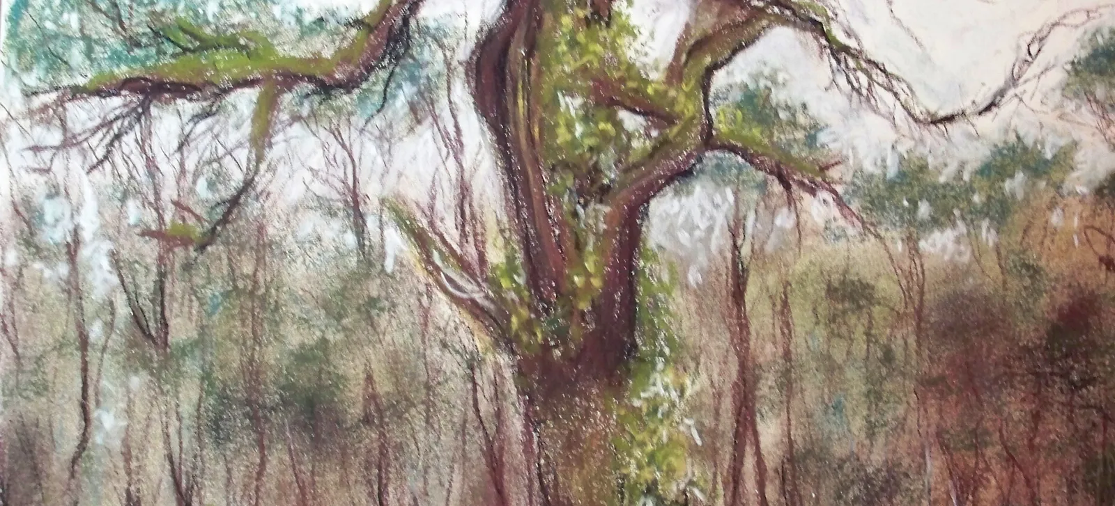 Quercia