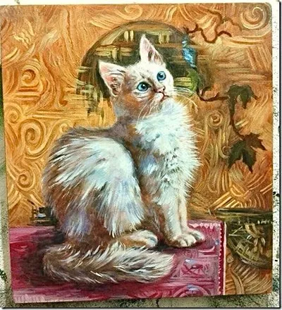Ritratto di un gatto