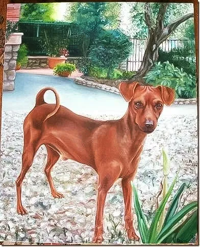 Roy