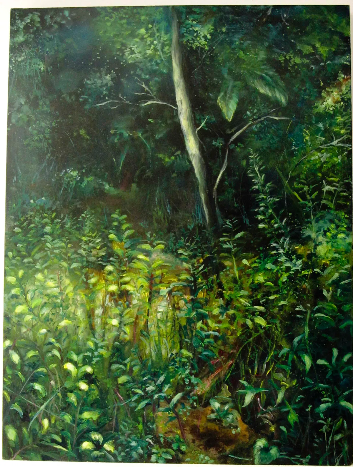 Sottobosco magico