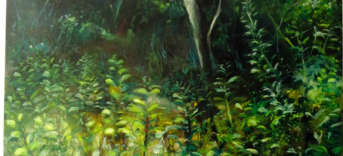 Sottobosco magico