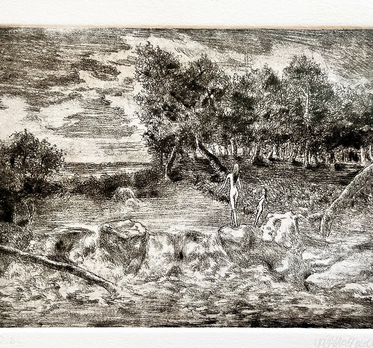 Un bagno nel bosco