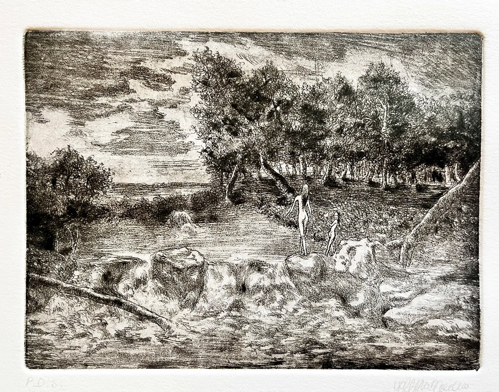 Un bagno nel bosco